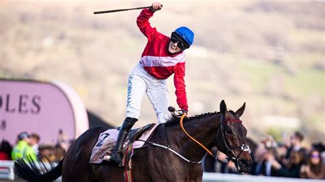 Cheltenham Gold Cup 2023: confirmed runners and riders for .